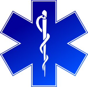 EMS logo